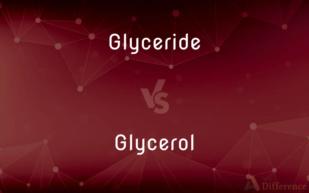 Glyceride vs. Glycerol — What's the Difference?