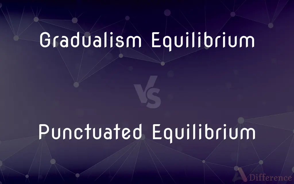 Gradualism Equilibrium vs. Punctuated Equilibrium — What's the Difference?