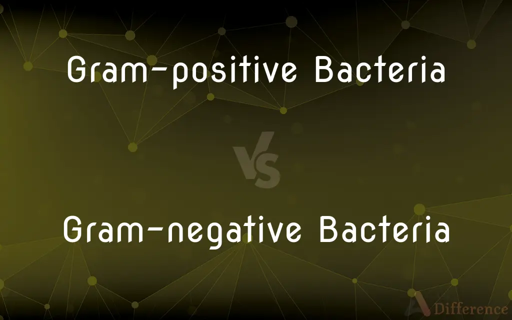 Gram-positive Bacteria vs. Gram-negative Bacteria — What's the Difference?