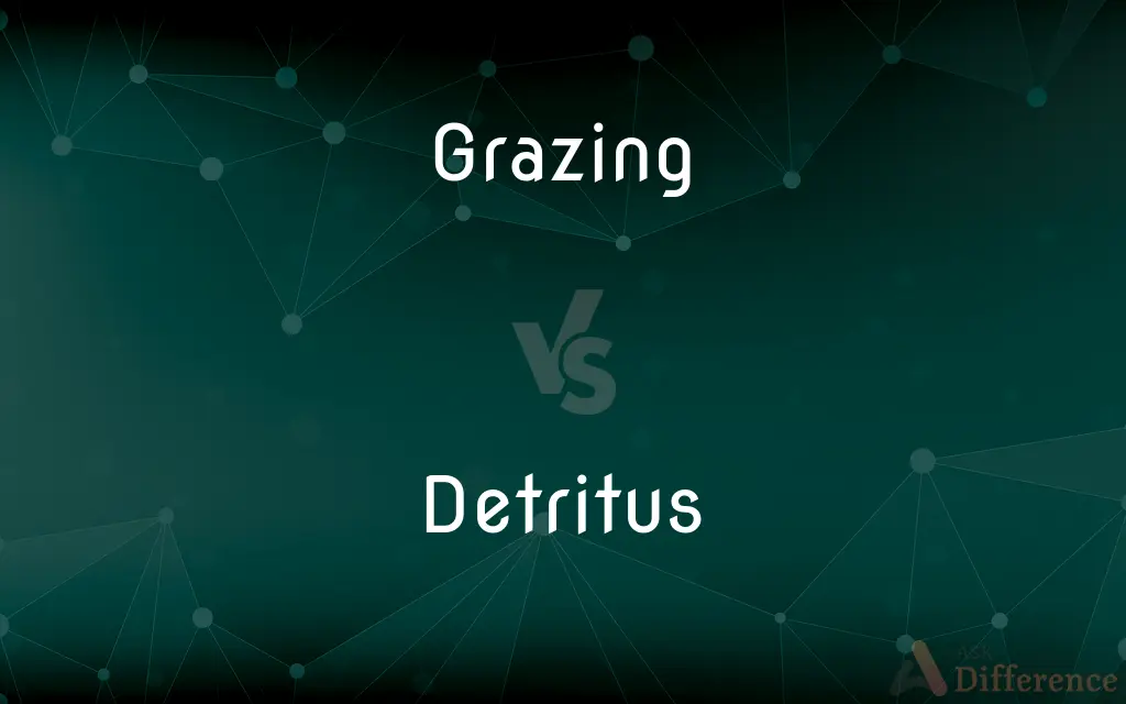 Grazing vs. Detritus — What's the Difference?