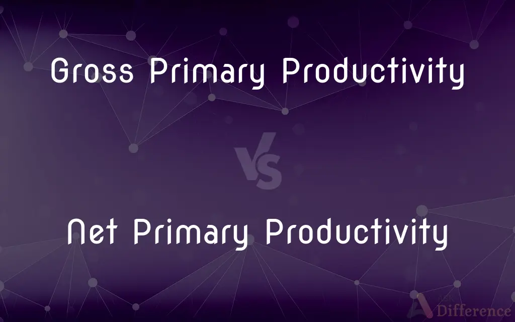 Gross Primary Productivity vs. Net Primary Productivity — What's the Difference?