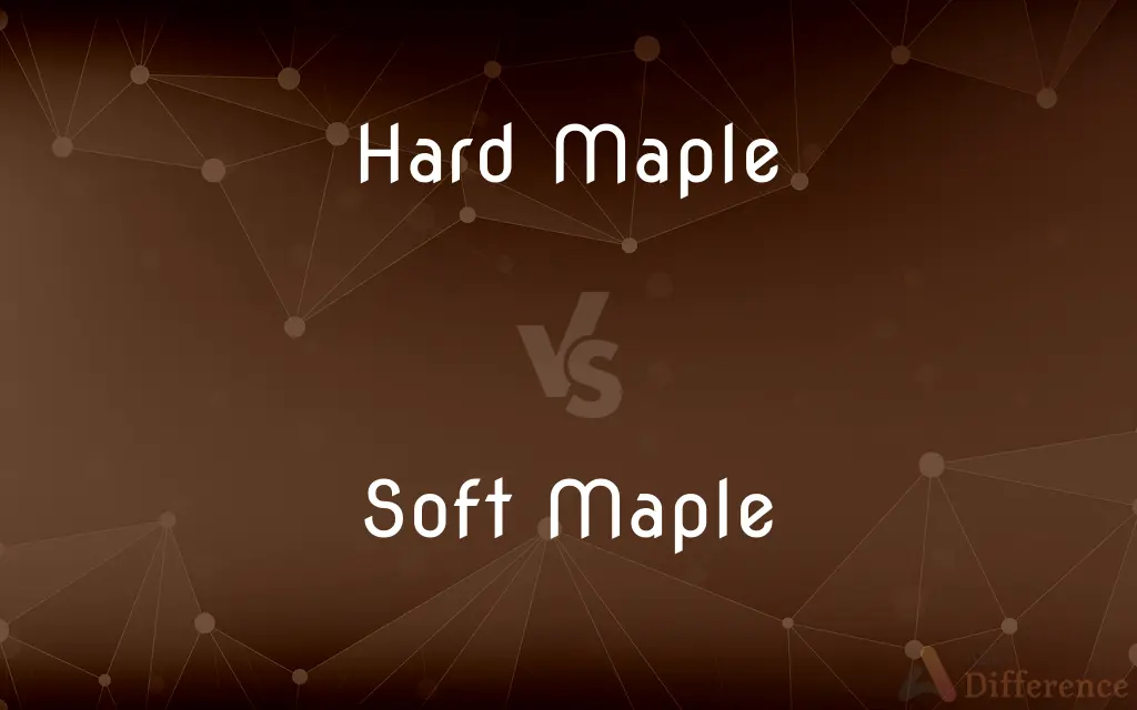 Hard Maple vs. Soft Maple — What's the Difference?