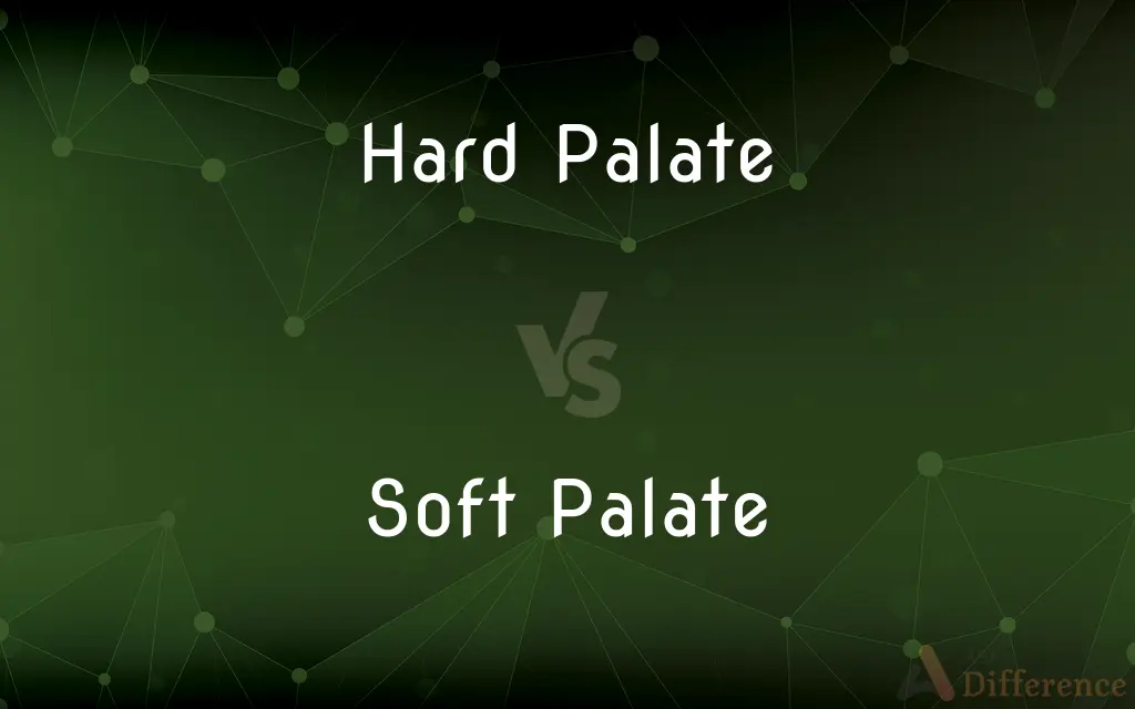 Hard Palate vs. Soft Palate — What's the Difference?