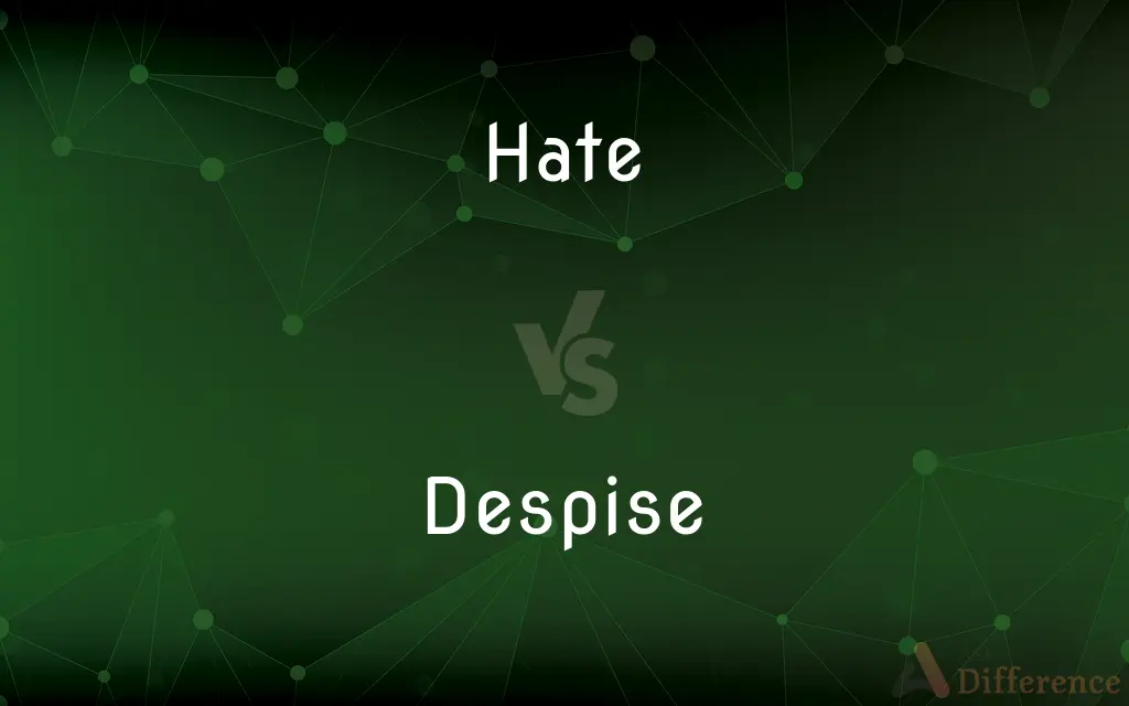 Hate Vs Despise What s The Difference 