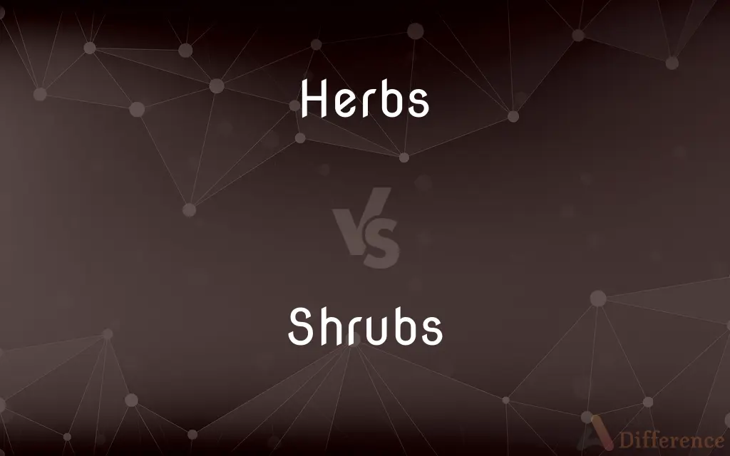 Herbs vs. Shrubs — What's the Difference?