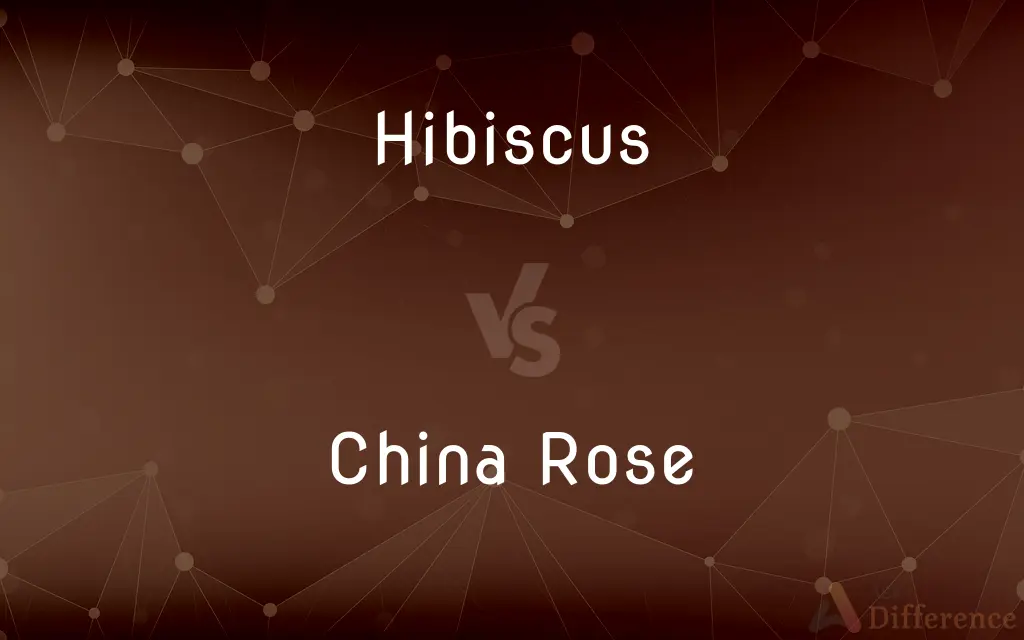 Hibiscus vs. China Rose — What's the Difference?