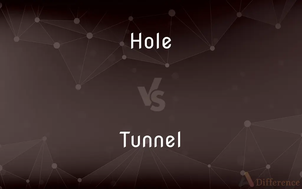 Hole vs. Tunnel — What's the Difference?