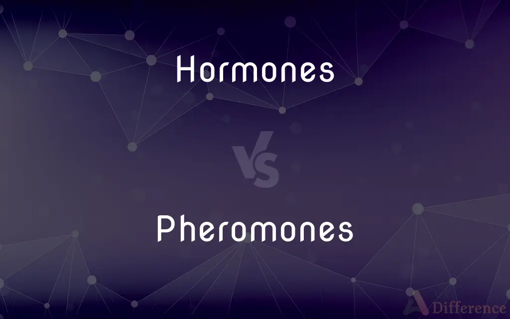 Hormones vs. Pheromones — What's the Difference?