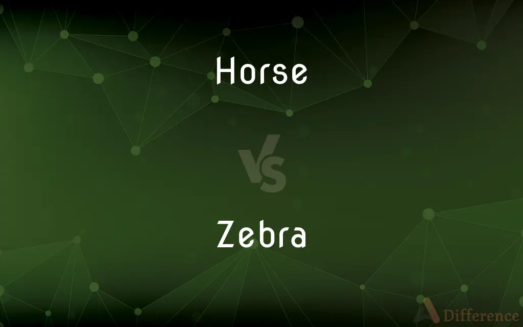 Horse vs. Zebra — What's the Difference?