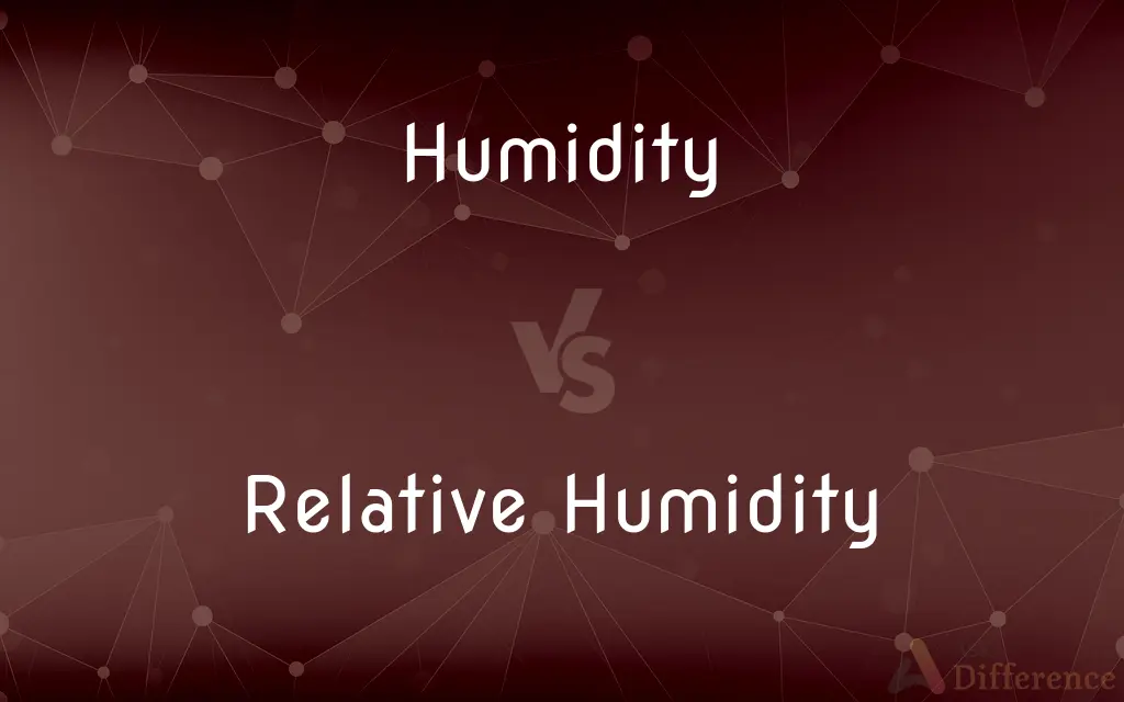 Humidity vs. Relative Humidity — What's the Difference?