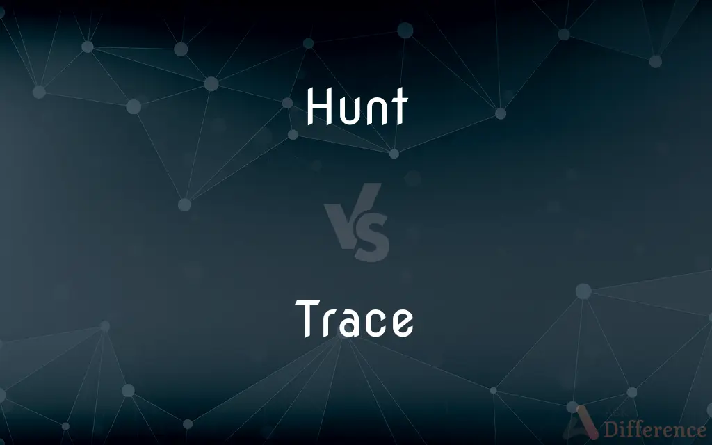 Hunt vs. Trace — What's the Difference?