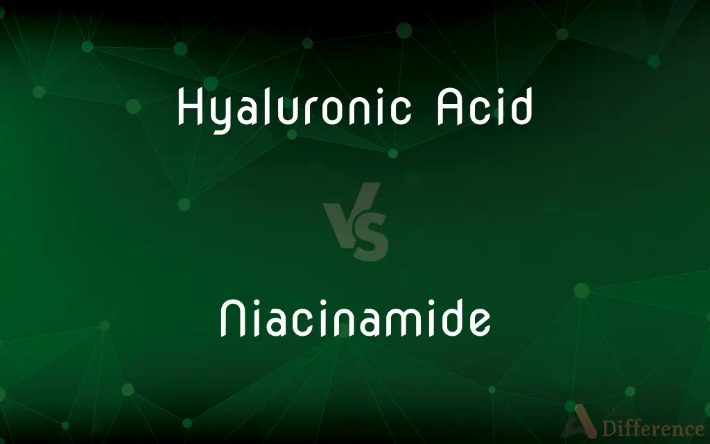 Hyaluronic Acid vs. Niacinamide — What's the Difference?