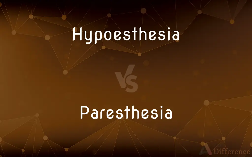 Hypoesthesia vs. Paresthesia — What's the Difference?