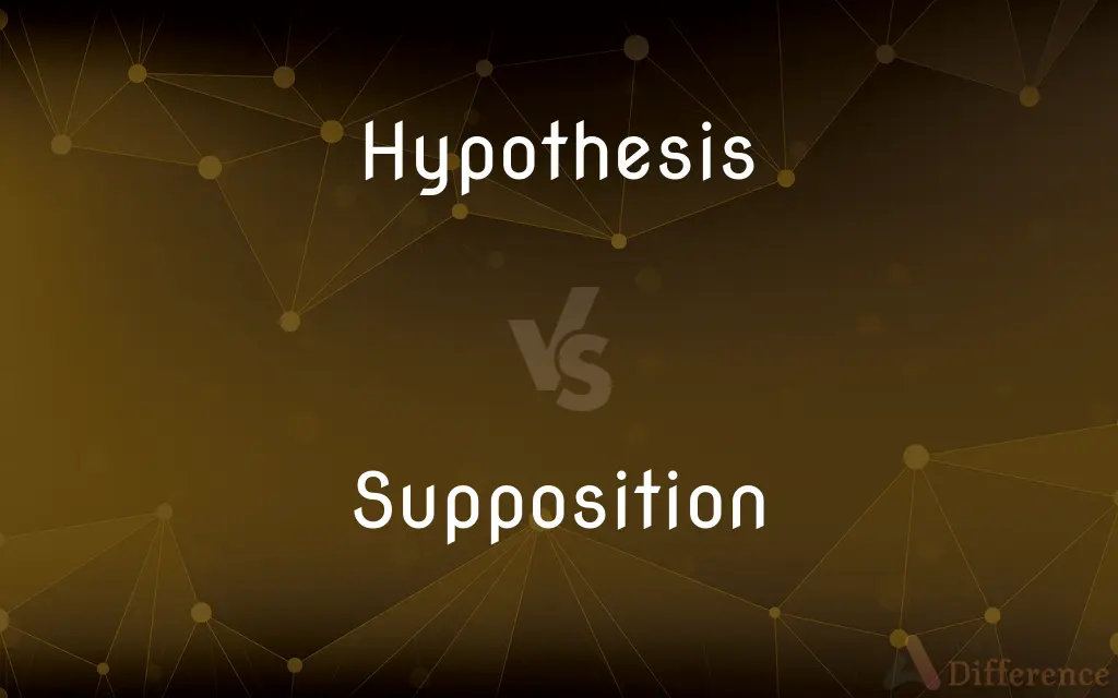 hypothesis meaning supposition