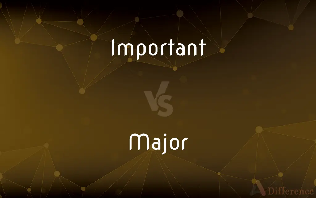 important-vs-major-what-s-the-difference