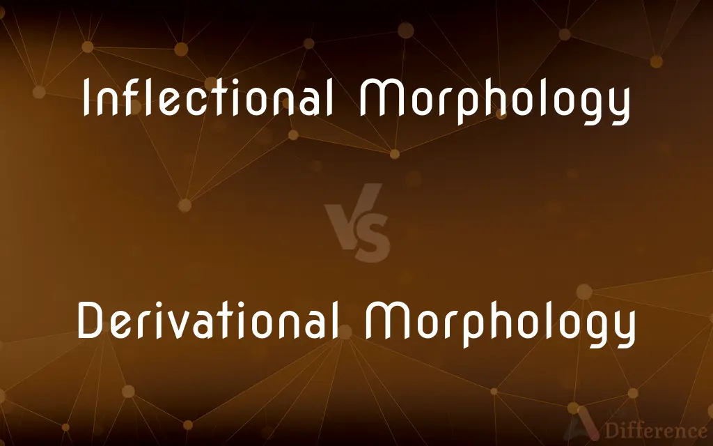 Inflectional Morphology vs. Derivational Morphology — What's the Difference?