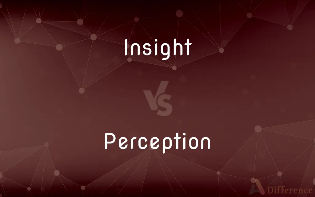 Insight vs. Perception — What's the Difference?