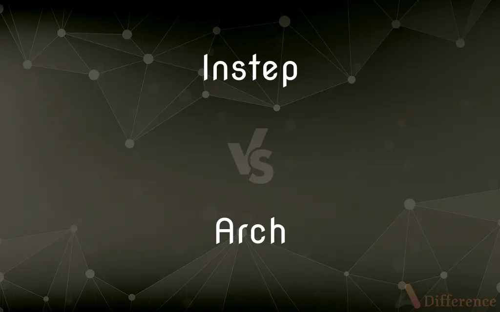 Instep vs. Arch — What's the Difference?