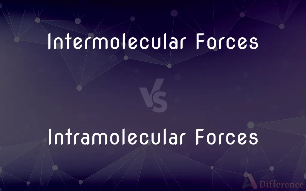 Intermolecular Forces vs. Intramolecular Forces — What's the Difference?