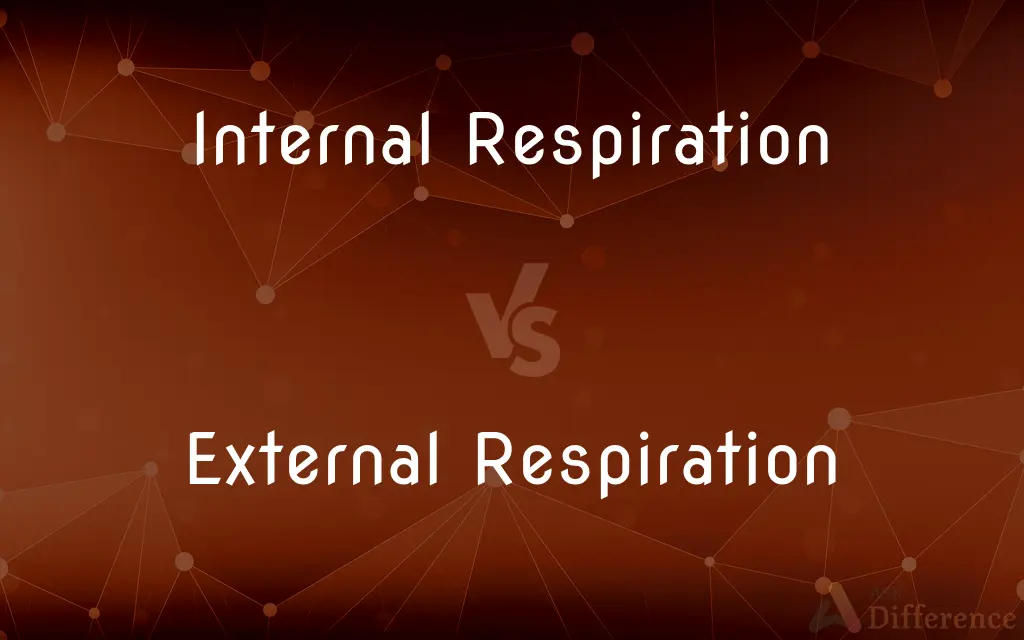 Internal Respiration vs. External Respiration — What's the Difference?