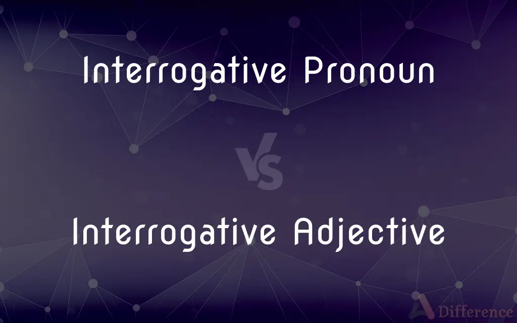 Interrogative Pronoun vs. Interrogative Adjective — What's the Difference?