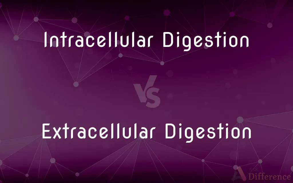 Intracellular Digestion vs. Extracellular Digestion — What's the Difference?