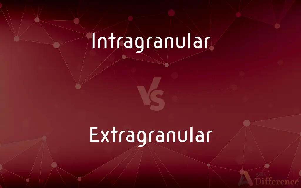 Intragranular vs. Extragranular — What's the Difference?