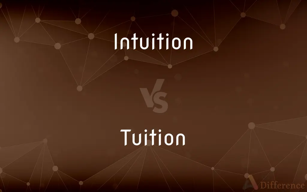 Intuition vs. Tuition — What's the Difference?