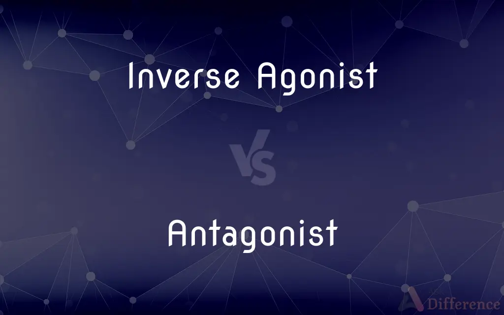 Inverse Agonist vs. Antagonist — What's the Difference?