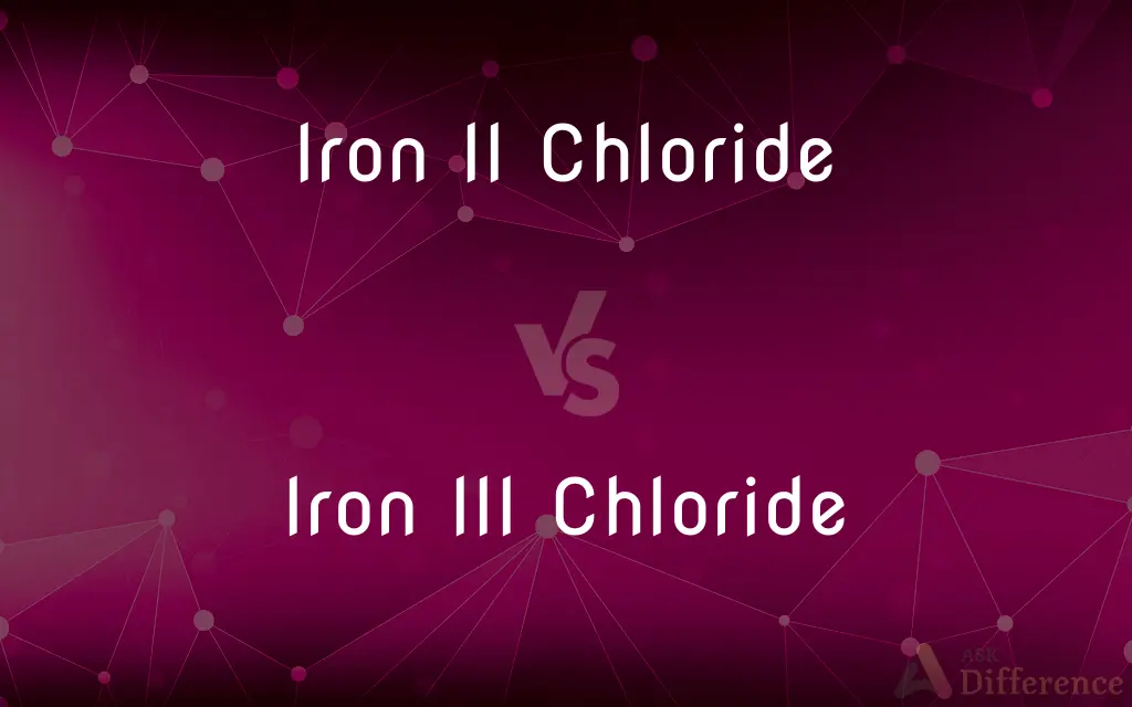 Iron II Chloride vs. Iron III Chloride — What's the Difference?