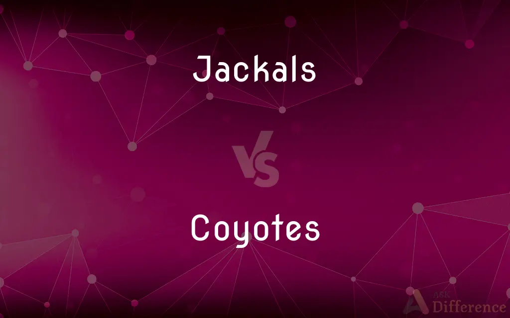 Jackals vs. Coyotes — What's the Difference?