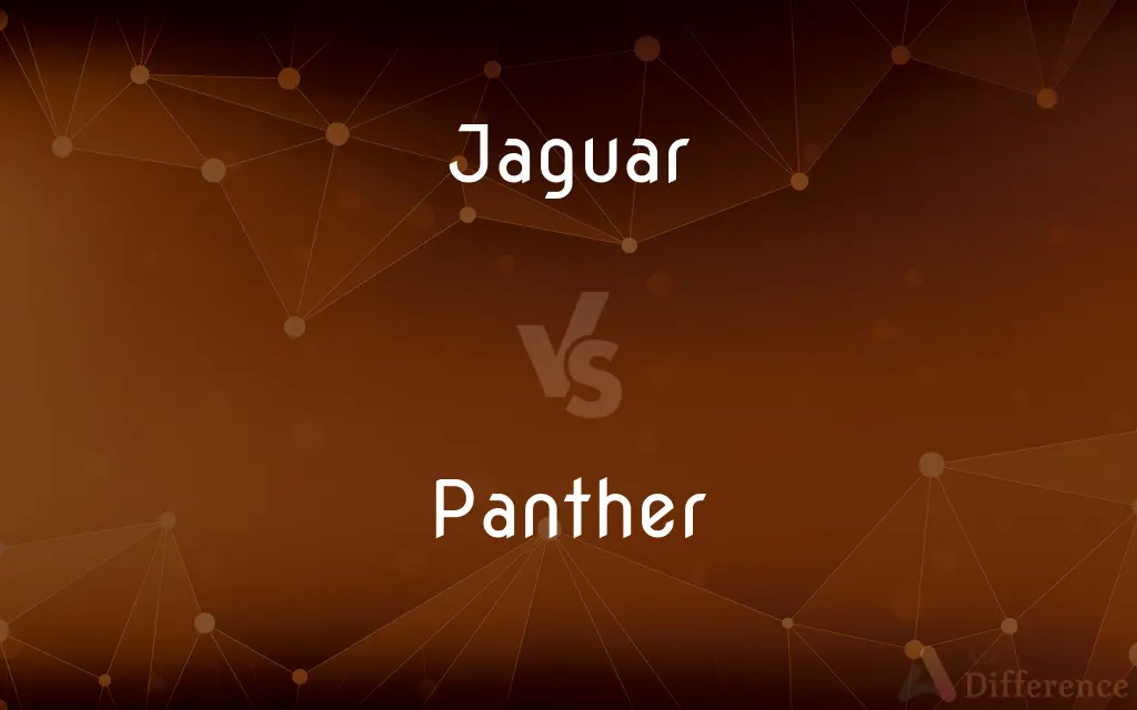 Jaguar vs. Panther — What's the Difference?