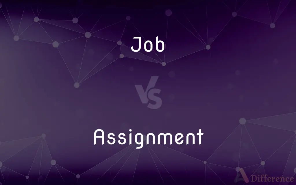 assignment and job difference