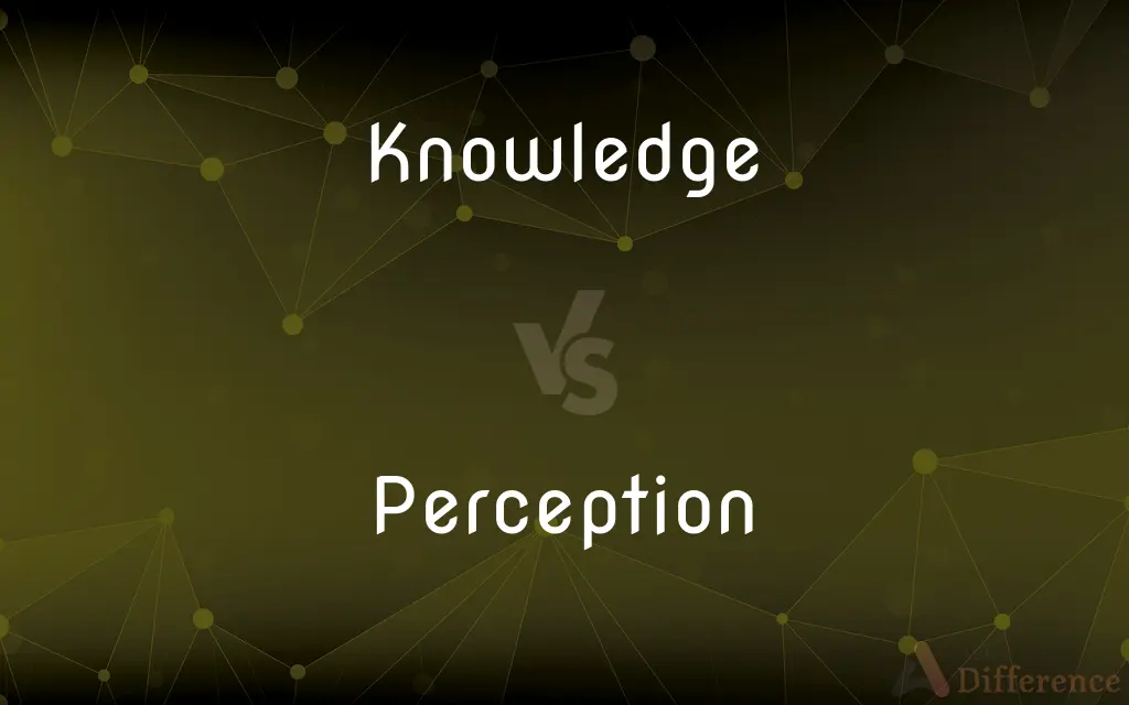 Knowledge vs. Perception — What's the Difference?