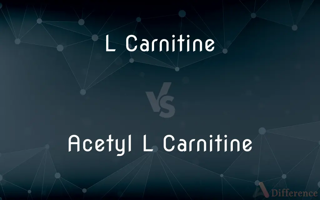 L Carnitine vs. Acetyl L Carnitine — What's the Difference?