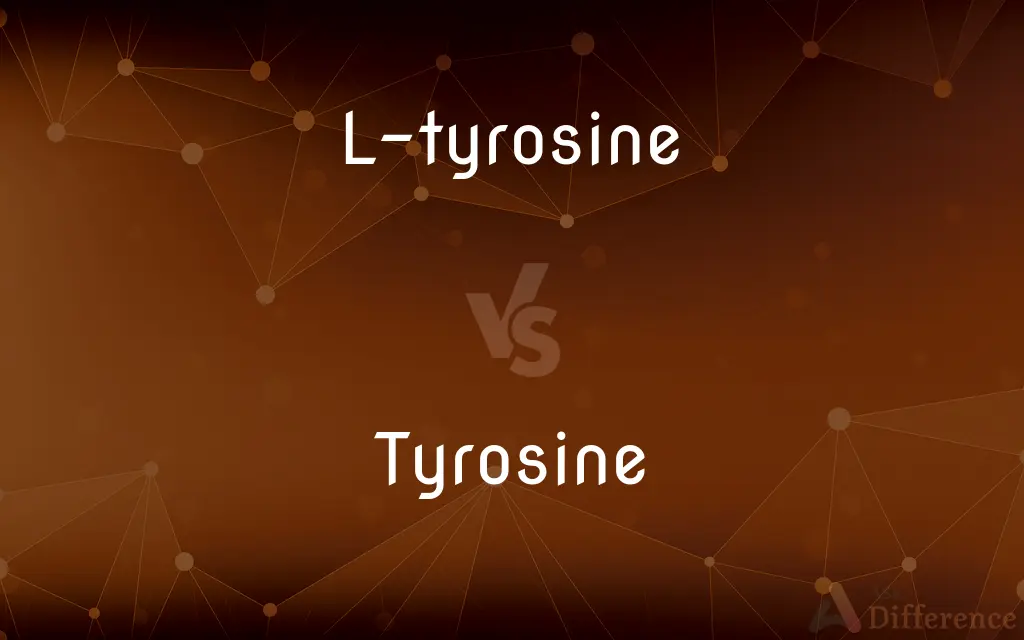 L-tyrosine vs. Tyrosine — What's the Difference?