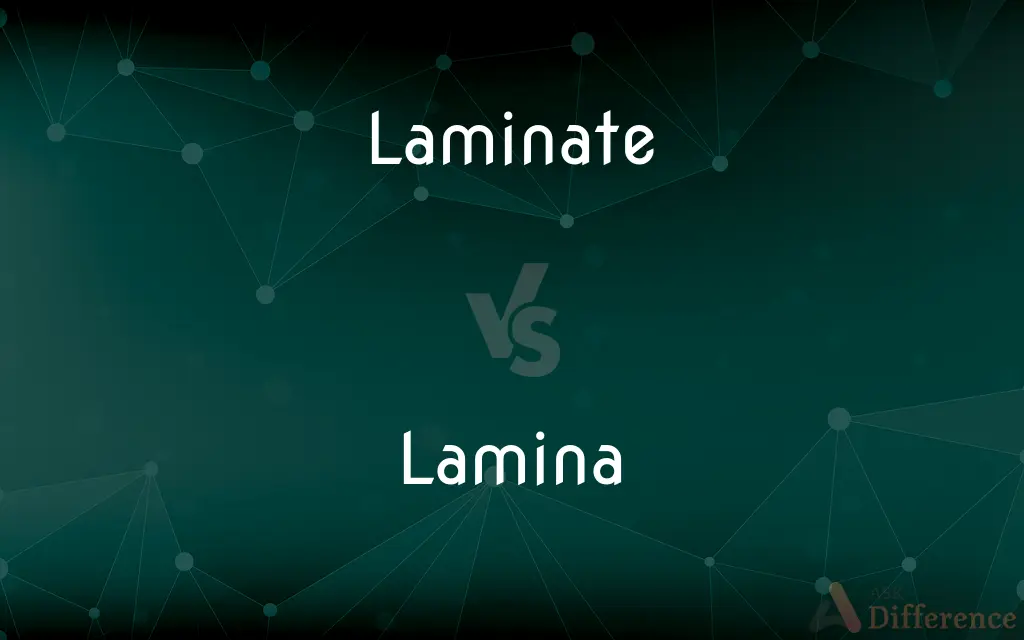 Laminate vs. Lamina — What's the Difference?