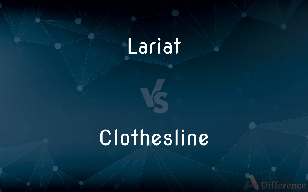 Lariat Vs Clothesline What s The Difference 