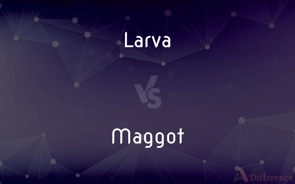 Larva vs. Maggot — What's the Difference?