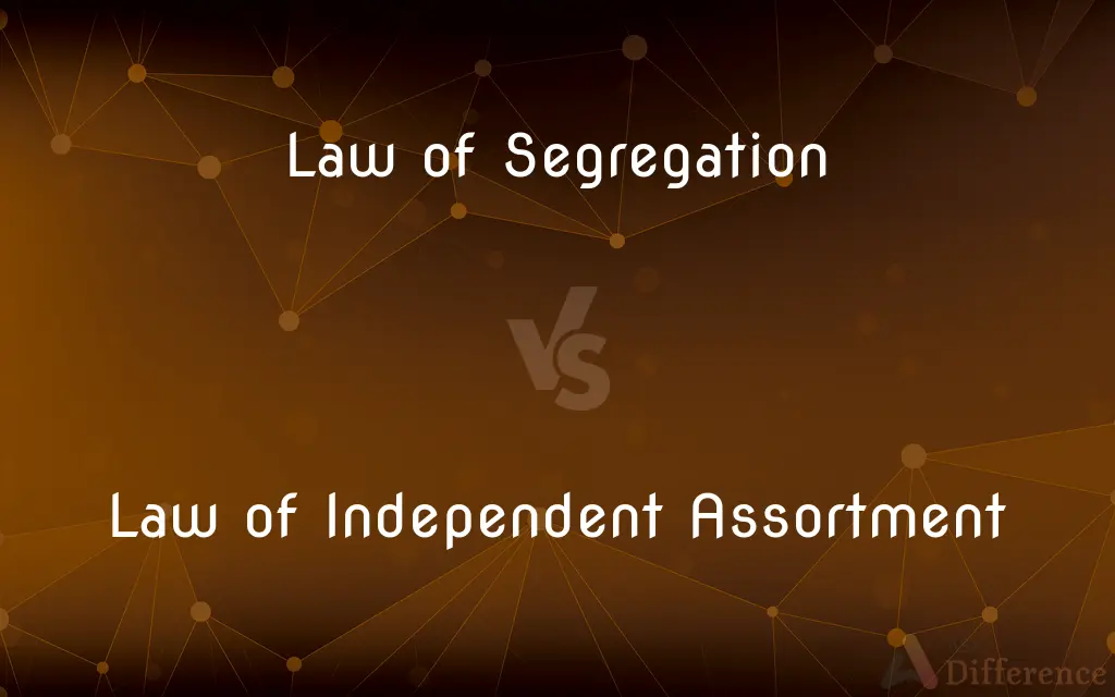 Law of Segregation vs. Law of Independent Assortment — What's the Difference?