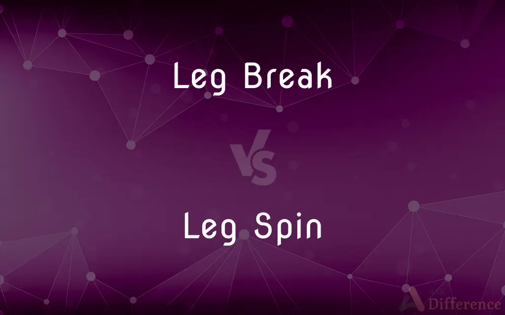 Leg Break vs. Leg Spin — What's the Difference?