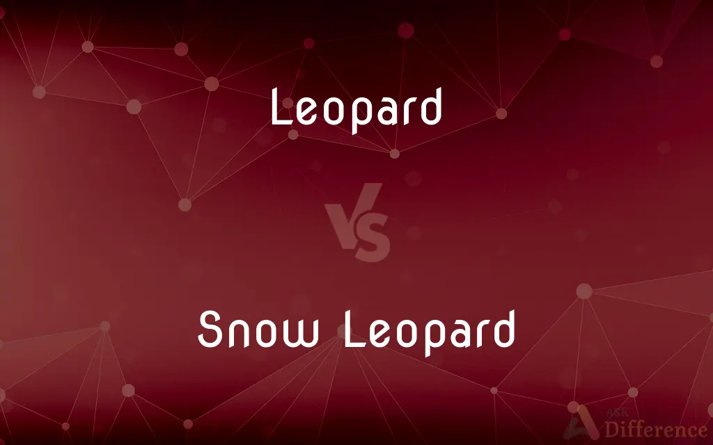 Leopard vs. Snow Leopard — What's the Difference?