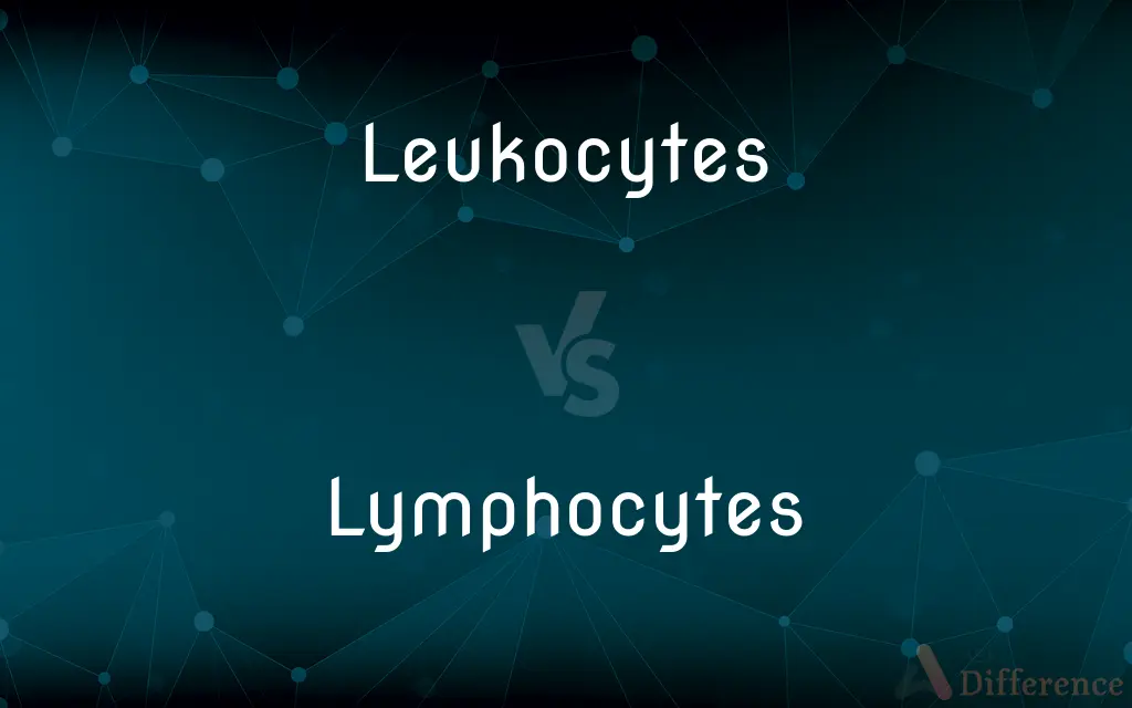 Leukocytes vs. Lymphocytes — What's the Difference?