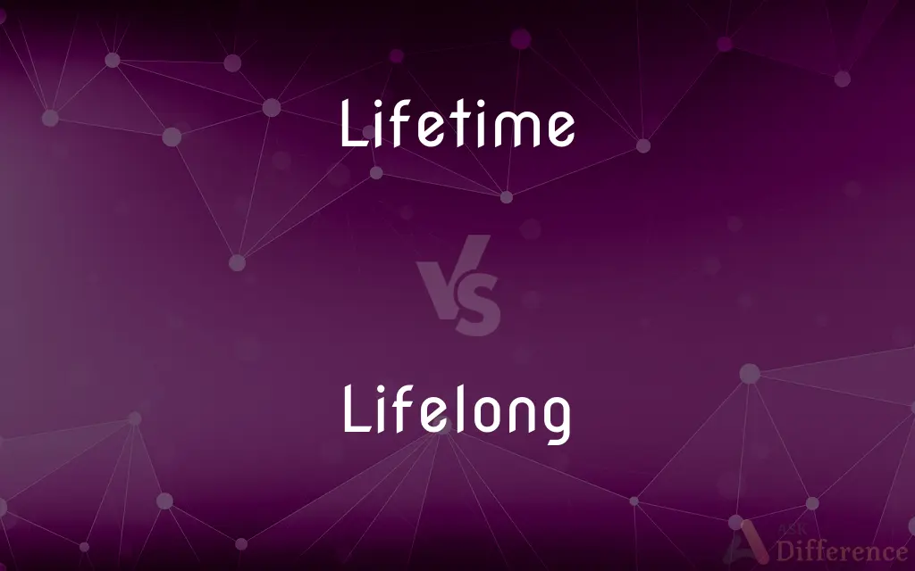  Lifetime Vs Lifelong What s The Difference 