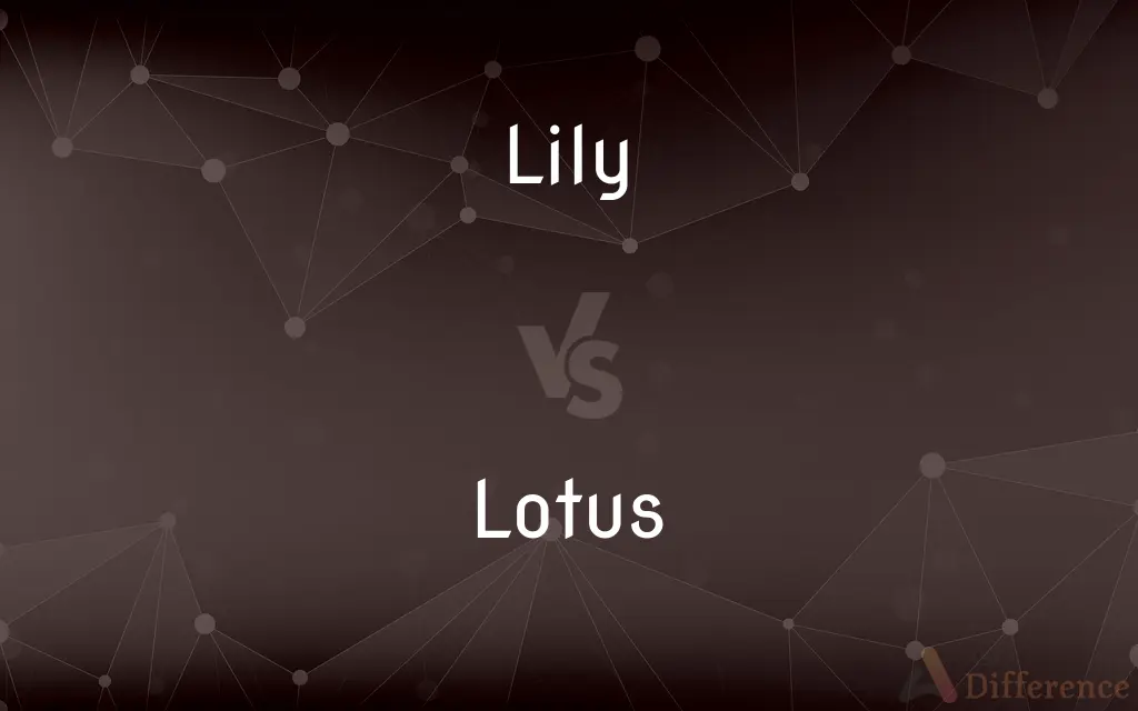 Lily vs. Lotus — What's the Difference?