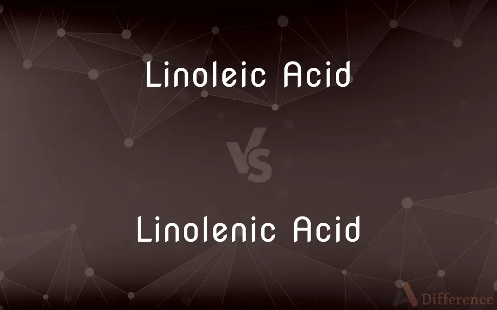 Linoleic Acid vs. Linolenic Acid — What's the Difference?