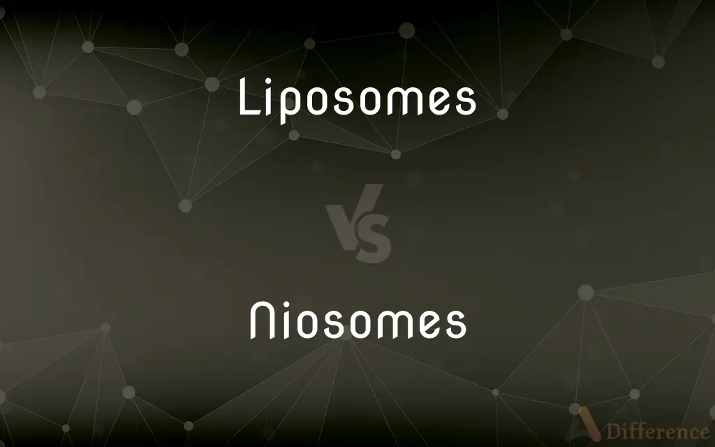 Liposomes vs. Niosomes — What's the Difference?