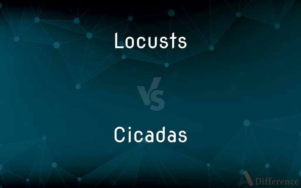 Locusts vs. Cicadas — What's the Difference?