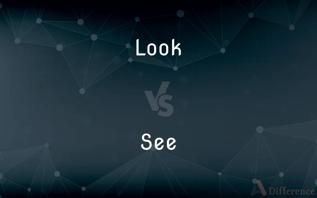 Look vs. See — What's the Difference?