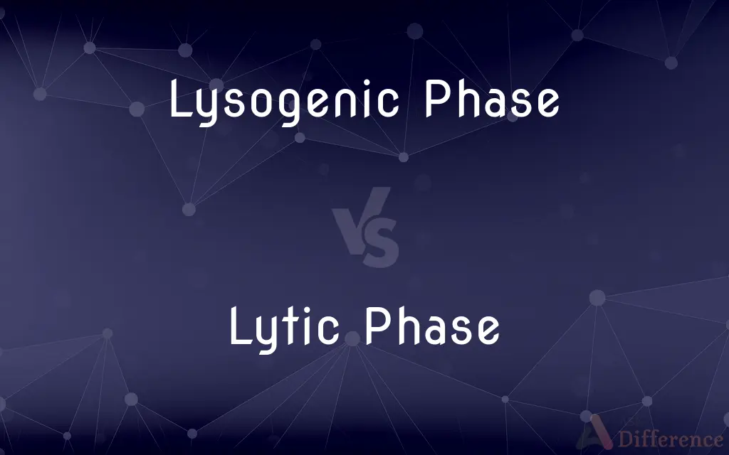 Lysogenic Phase vs. Lytic Phase — What's the Difference?